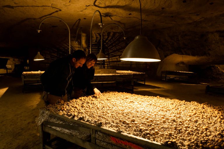 190701_029_photo-Benoit-Martin