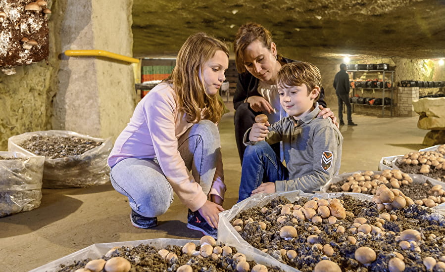 le musée du champignon saumur