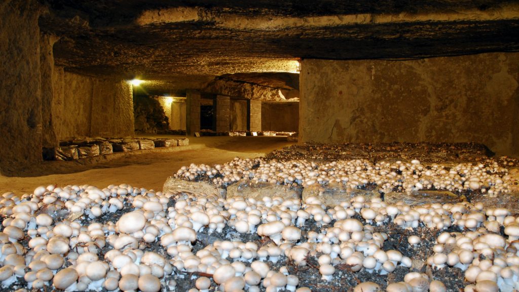 La Cave Aux Moines